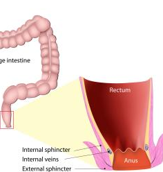 Itchy Bum Hole Meaning