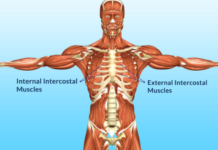 Intercostal muscle strain causes