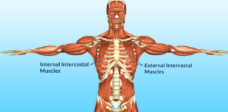 Intercostal muscle strain causes