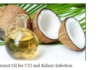 Coconut Oil for UTI