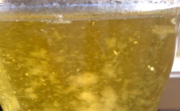 White Stuff in Urine